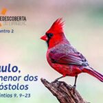 Curso Redescoberta do Evangelho 3: Sal e Luz - Paulo, o menor dos apóstolos