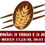 Trigo