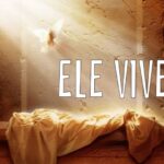Vive!