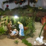 Natal CCS 2018 (2)