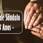 Bodas