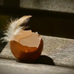 Imagens - Google (16)