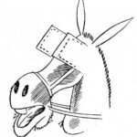Burro e viseira