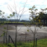 Casa Pastoral-20150915-DSCN1559