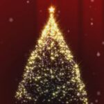 Natal 2011