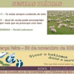Senhas do dia - 30.11.2021