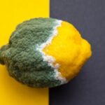 FrutaPodre