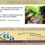 Senhas do dia - 01.11.2021