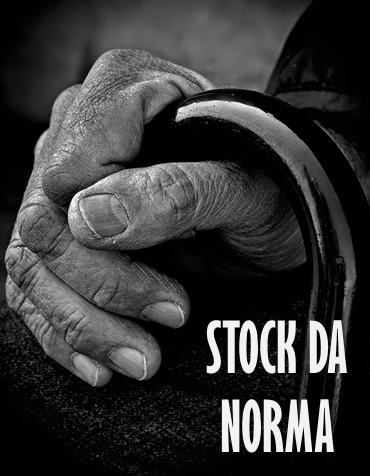 Stock