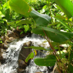 Águas doces e amargas