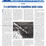 OASE EM FOCO 042