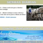 Senhas do dia - 28.06.2020