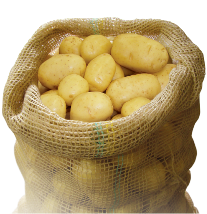 SacoBatatas