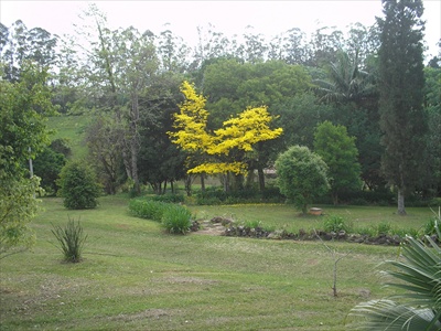 Imagem_1593