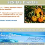 Senhas do dia - 22.06.2020