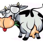 Vaca