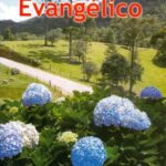 Anuário Evangélico 2008
