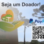 Seja um Doador-PayPal