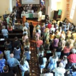 Açãopalmitos
