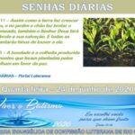 Senhas do dia - 24.06.2020