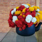 big_6465d6374dcb79b339720f66c1dc84db