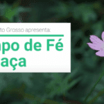 Fe? e Grac?a
