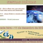 Senhas do dia - 11.12.2020