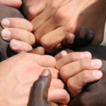 Diversidade