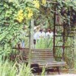 oase jardim botanico