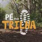 Totó