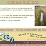 Senhas do dia - 18.11.2021