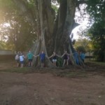 17 pessoas para circundar a figueira