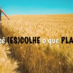 Plantar&Colher