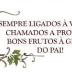 Videira2021