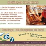 Senhas do dia - 08.08.2021