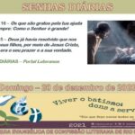 Senhas do dia - 20.12.2020