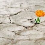 resiliencia 2