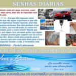 Senhas do dia - 25.11.2020