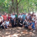 Sínodo Mato Grosso.
