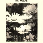 Roteiro de Trabalho da OASE 1984