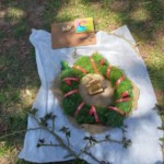 Fotos da CM Festiva