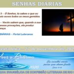 Senhas do dia - 27.11.2020