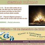 Senhas do dia - 19.12.2020