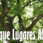 BusqueLugaresAltos