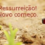 Ressurreição