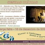 Senhas do dia - 15.12.2020