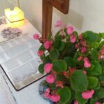 20210207-Luz para o caminho