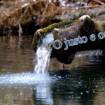 O Justo e os Ímpios.