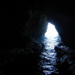 DSCN5286