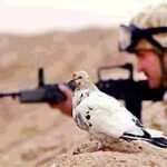 paz